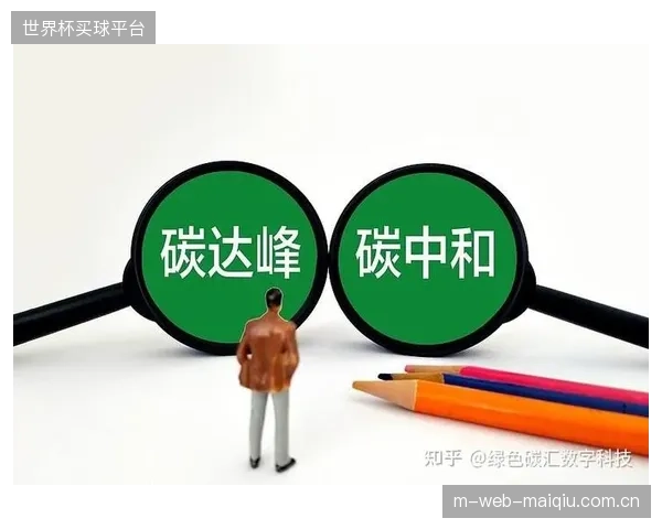 大型赛事宣称通过购买林业碳汇实现碳中和，其交易过程的透明度和有效性如何被公众监督？